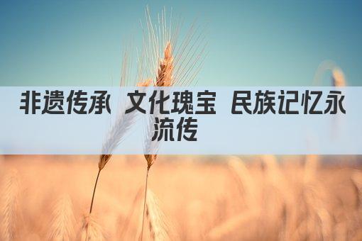 非遗传承 文化瑰宝 民族记忆永流传 