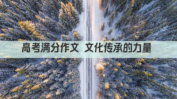 高考满分作文 文化传承的力量 