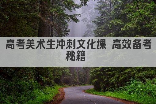 高考美术生冲刺文化课 高效备考秘籍 