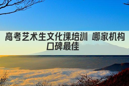 高考艺术生文化课培训 哪家机构口碑最佳 