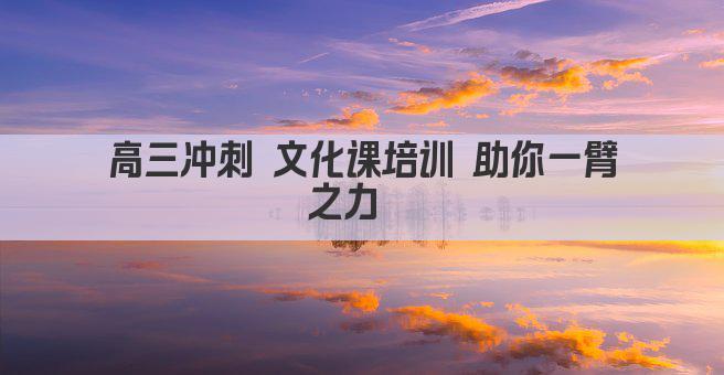 高三冲刺 文化课培训 助你一臂之力  