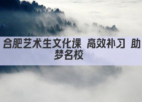合肥艺术生文化课 高效补习 助梦名校 