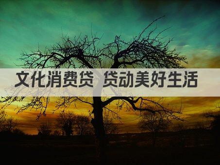 文化消费贷 贷动美好生活 