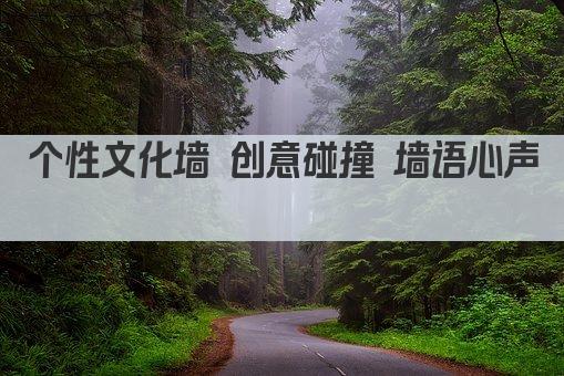 个性文化墙 创意碰撞 墙语心声 