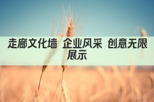 走廊文化墙 企业风采 创意无限展示