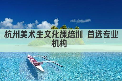 杭州美术生文化课培训 首选专业机构 