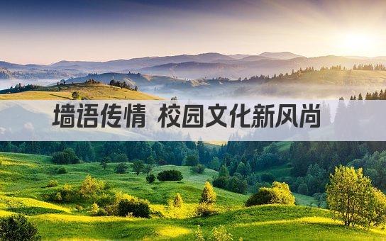 墙语传情 校园文化新风尚 