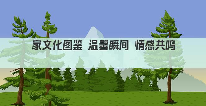 家文化图鉴 温馨瞬间 情感共鸣 
