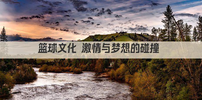 篮球文化 激情与梦想的碰撞 