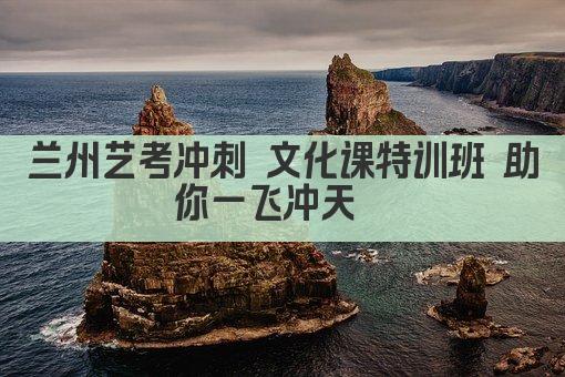 兰州艺考冲刺 文化课特训班 助你一飞冲天  