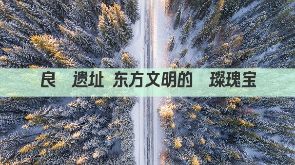 良渚遗址 东方文明的璀璨瑰宝