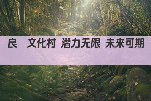 良渚文化村 潜力无限 未来可期 
