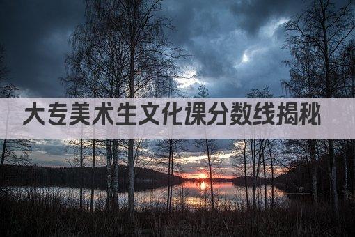 大专美术生文化课分数线揭秘 