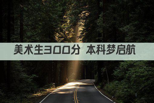 美术生300分 本科梦启航 