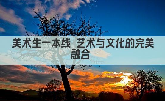 美术生一本线 艺术与文化的完美融合 