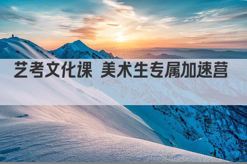 艺考文化课 美术生专属加速营  