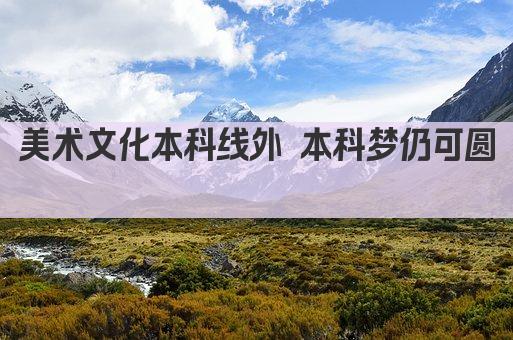 美术文化本科线外 本科梦仍可圆 