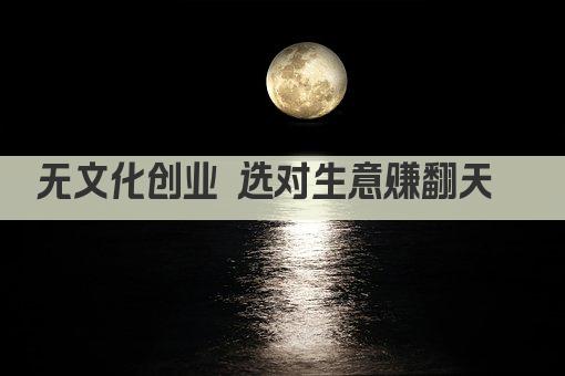 无文化创业 选对生意赚翻天  