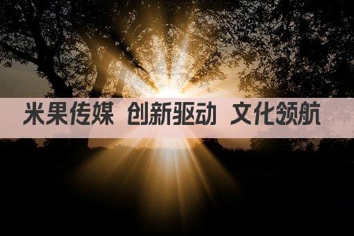米果传媒 创新驱动 文化领航 