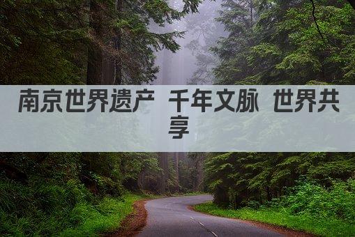 南京世界遗产 千年文脉 世界共享