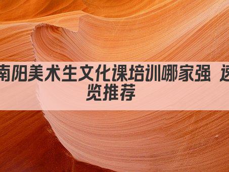 南阳美术生文化课培训哪家强 速览推荐 
