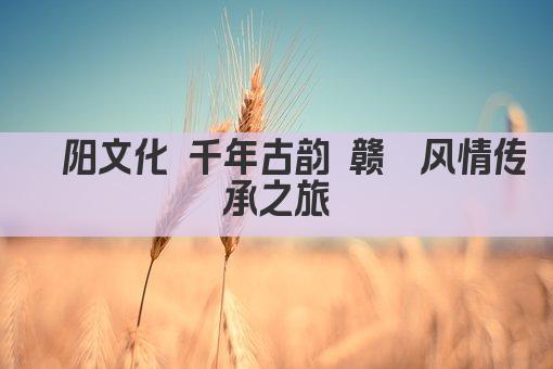 鄱阳文化 千年古韵 赣鄱风情传承之旅