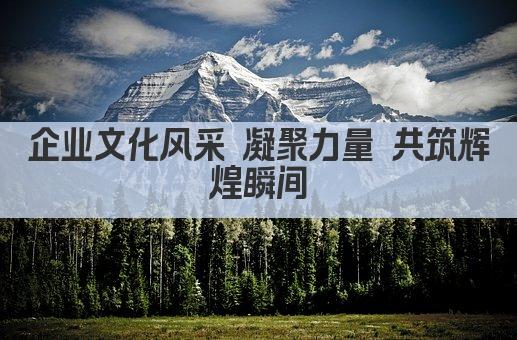 企业文化风采 凝聚力量 共筑辉煌瞬间