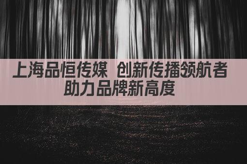 上海品恒传媒 创新传播领航者 助力品牌新高度 