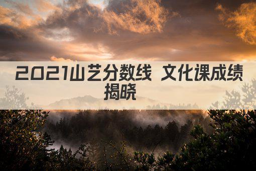 2021山艺分数线 文化课成绩揭晓  