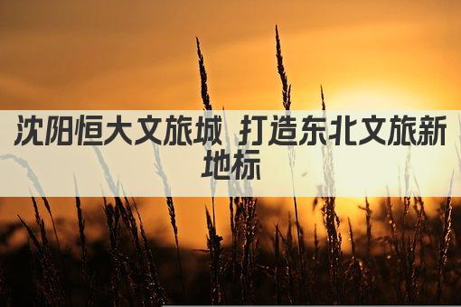 沈阳恒大文旅城 打造东北文旅新地标