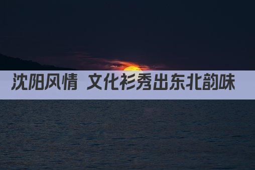 沈阳风情 文化衫秀出东北韵味 