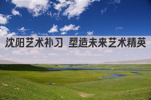 沈阳艺术补习 塑造未来艺术精英 