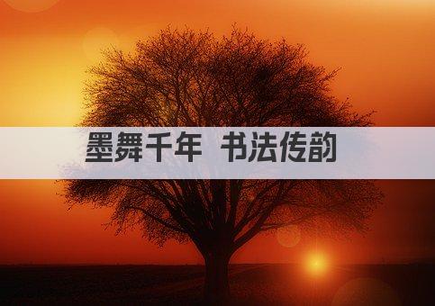 墨舞千年 书法传韵 