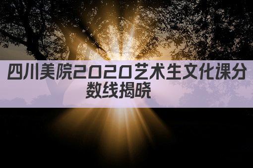 四川美院2020艺术生文化课分数线揭晓  
