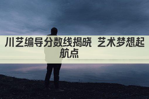 川艺编导分数线揭晓 艺术梦想起航点  