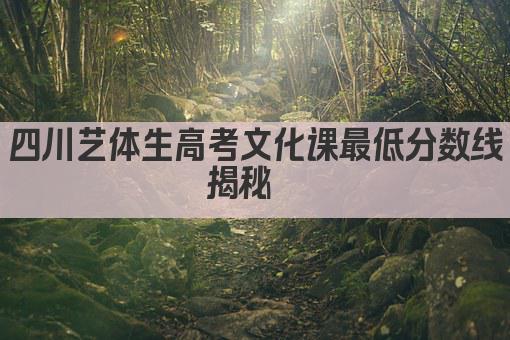 四川艺体生高考文化课最低分数线揭秘  