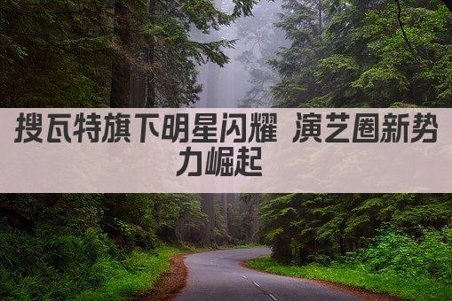 搜瓦特旗下明星闪耀 演艺圈新势力崛起 