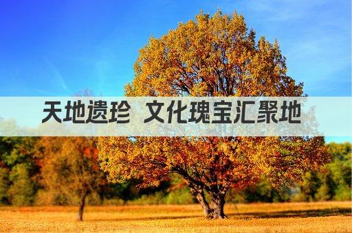 天地遗珍 文化瑰宝汇聚地 