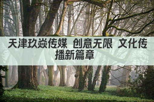 天津玖焱传媒 创意无限 文化传播新篇章 