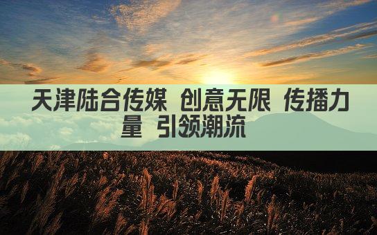 天津陆合传媒 创意无限 传播力量 引领潮流 