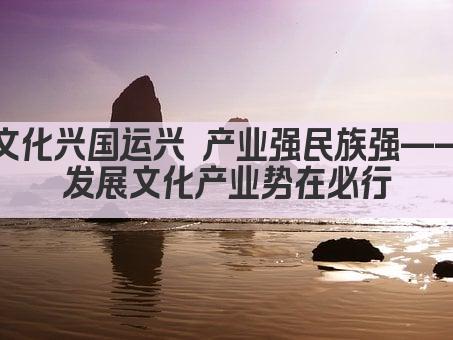 文化兴国运兴 产业强民族强——发展文化产业势在必行