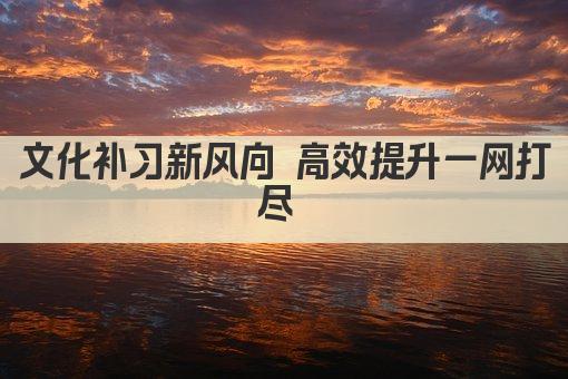 文化补习新风向 高效提升一网打尽 