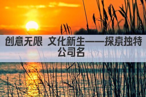 创意无限 文化新生——探索独特公司名 