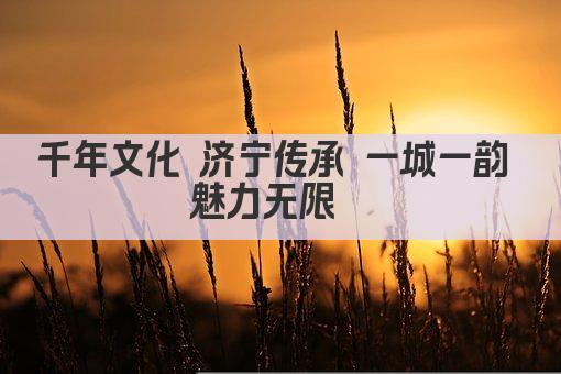 千年文化 济宁传承 一城一韵 魅力无限  