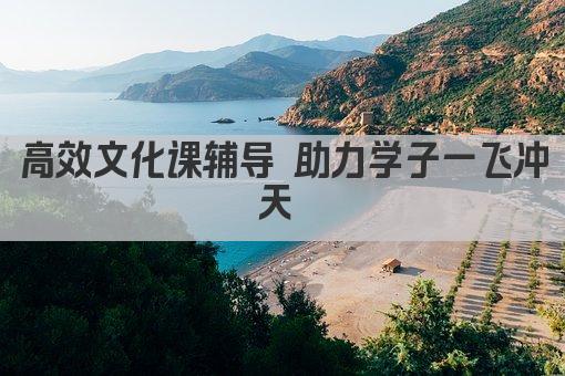 高效文化课辅导 助力学子一飞冲天 