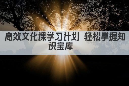高效文化课学习计划 轻松掌握知识宝库  