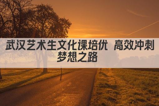 武汉艺术生文化课培优 高效冲刺梦想之路 