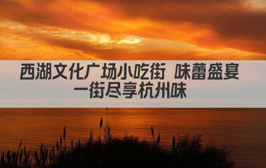 西湖文化广场小吃街 味蕾盛宴 一街尽享杭州味 