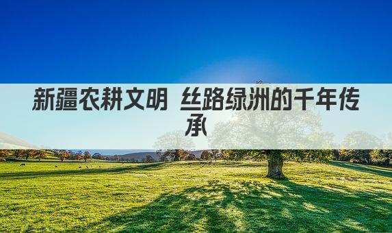 新疆农耕文明 丝路绿洲的千年传承
