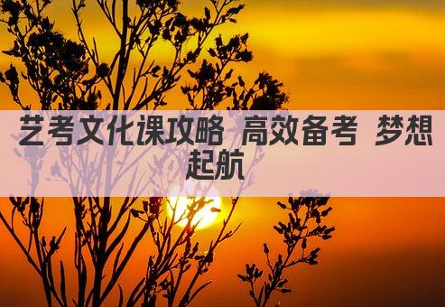 艺考文化课攻略 高效备考 梦想起航 